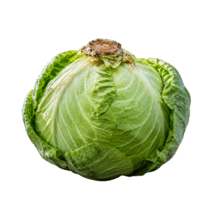 Repolho