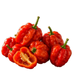 Jindungo